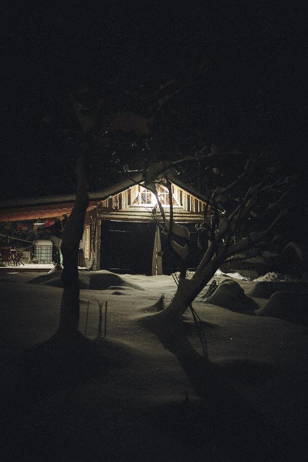 Blickinsfreie - Cabin 舍内克 外观 照片